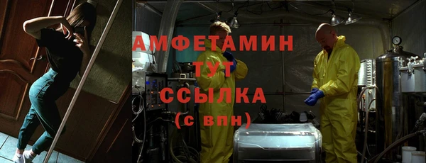 прущие грибы Костерёво