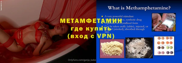 прущие грибы Костерёво