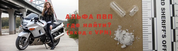 прущие грибы Костерёво