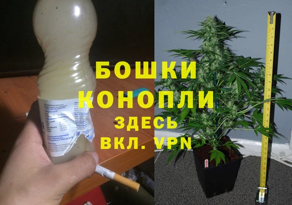мяу мяу кристалл Корсаков