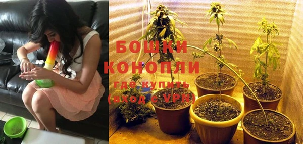 прущие грибы Костерёво