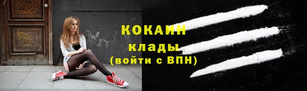 прущие грибы Костерёво