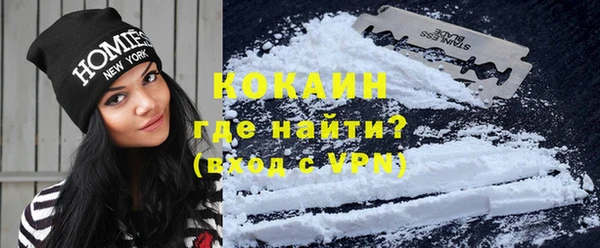 прущие грибы Костерёво