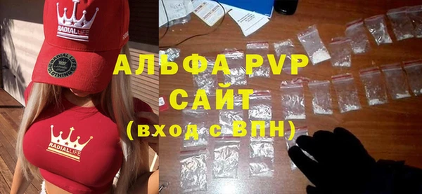 прущие грибы Костерёво