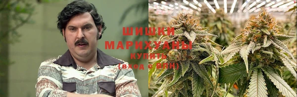 прущие грибы Костерёво